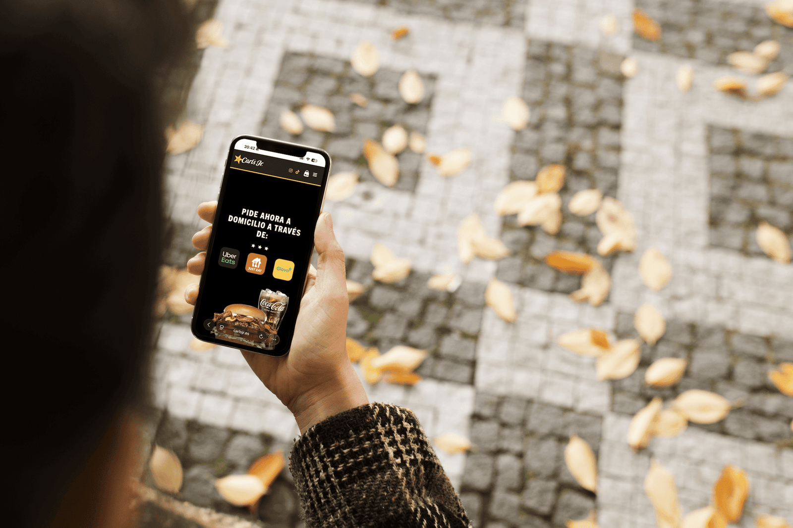 Mirando web de Carlsjr